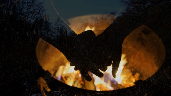 Video Stille
